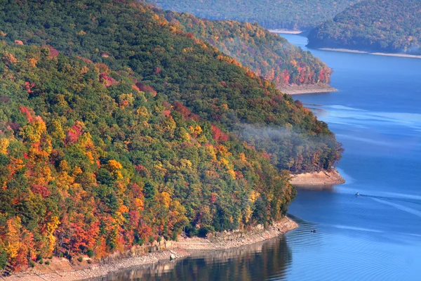 Allegheny national forest — Stock Photo, Image