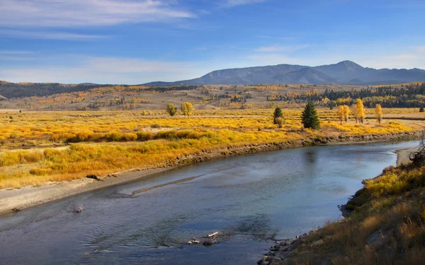 Yellowstone rivier — Stockfoto