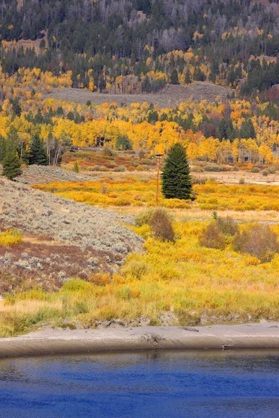 Scena autunnale in Wyoming — Foto Stock