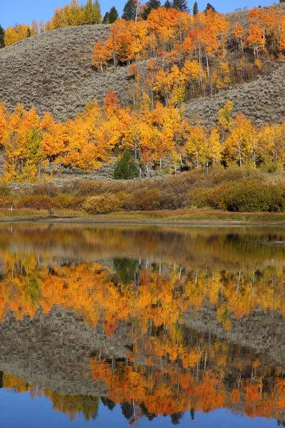 Perfect autumn reflections — Stock Photo, Image