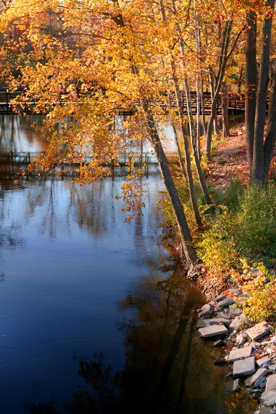 Göl kenarındaki sonbahar ağaçları — Stok fotoğraf