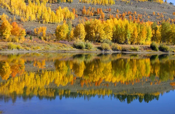 Laub und Reflexionen im Herbst — Stockfoto