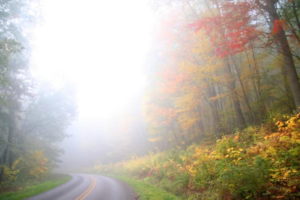 Niebla escena de otoño — Foto de Stock