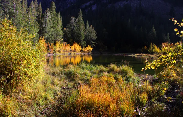 Autumn in Rocky mountains — Stock Photo, Image