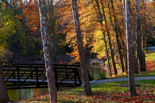 Φθινόπωρο στην huron κρατικό πάρκο — Φωτογραφία Αρχείου