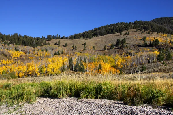 Podzimní scéna ve Wyomingu — Stock fotografie