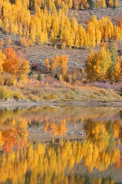 Reflexão perfeita do outono — Fotografia de Stock