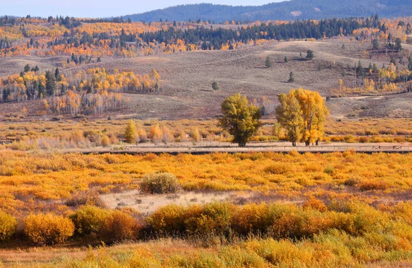 Herfst landschap in wyoming — Stockfoto