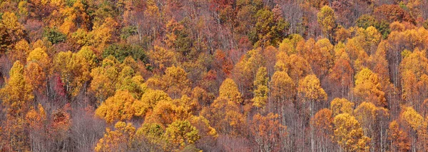 Herfst panorama — Stockfoto