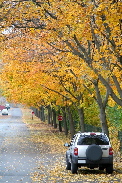 stock image Autumn scene