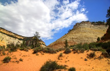 Zion national park