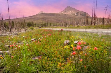 Glacier national park clipart