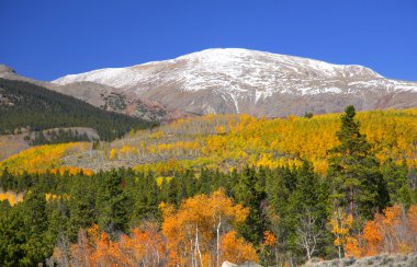 Mount Elbert clipart