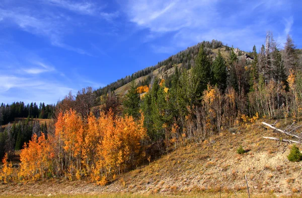 Jesień krajobraz górski — Zdjęcie stockowe