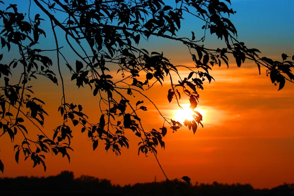 Sole tramontato — Foto Stock