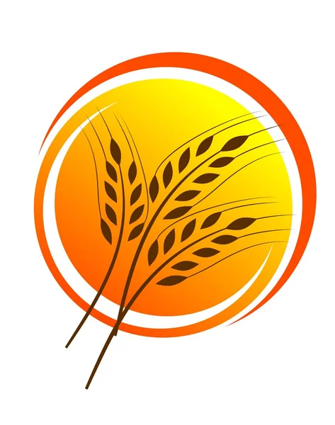 Ilustração palha de trigo — Fotografia de Stock