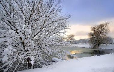 Scenic Winter Landscape clipart