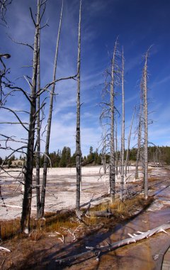 Yellowstone Milli Parkı