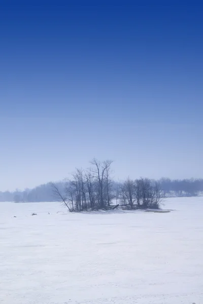 Zimowa scena — Zdjęcie stockowe
