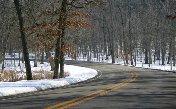 Kış sürücü yolu — Stok fotoğraf