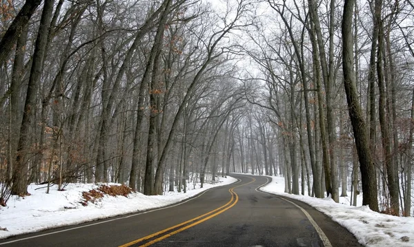 Winter Drive Way — Stock Photo, Image