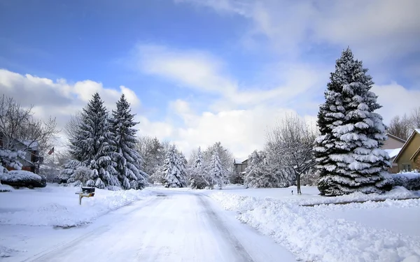 Jazdy zimą — Zdjęcie stockowe