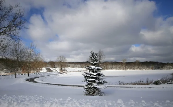 Krásná zimní landscap — Stock fotografie