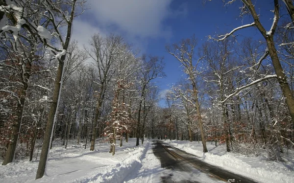 Kış manzarası — Stok fotoğraf