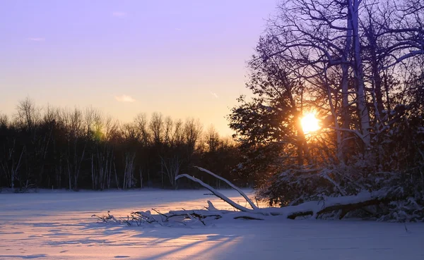 Pôr do sol de inverno — Fotografia de Stock