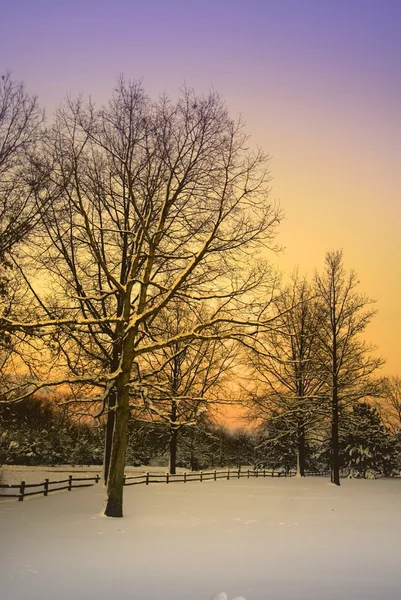 Scenic Winter Landscape — Stock Photo, Image