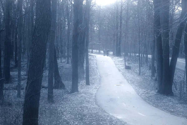 WalkWay în timpul iernii — Fotografie, imagine de stoc