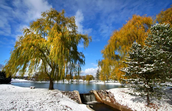 아름 다운 겨울 풍경 — 스톡 사진