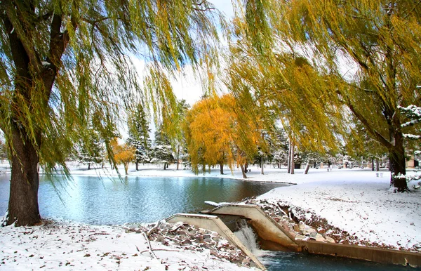 Paisaje escénico de invierno — Foto de Stock