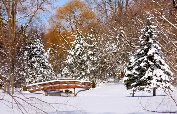 Scenic winter landscape — Stock Photo, Image