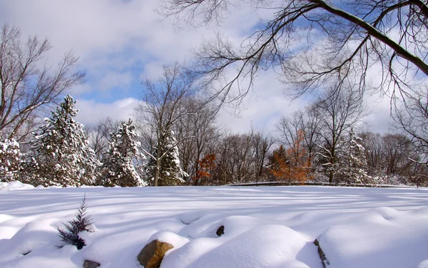 Живописный зимний пейзаж — стоковое фото