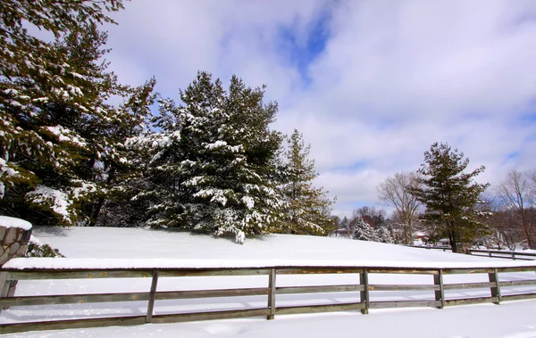 Την όμορφη χειμερινή σκηνή — Φωτογραφία Αρχείου