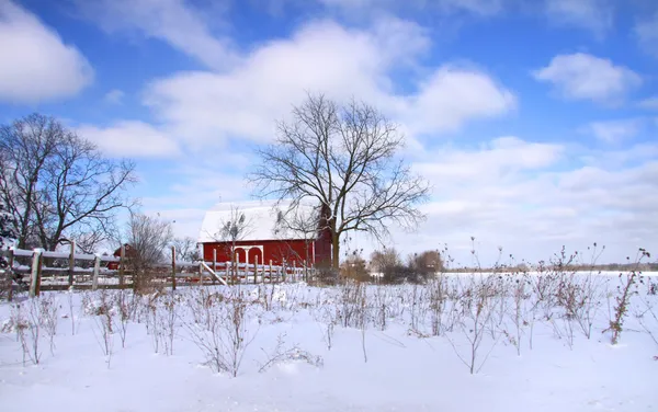 美しい冬のシーン — ストック写真