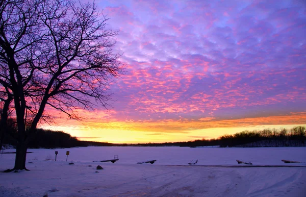 Słońca w okresie zimowym — Zdjęcie stockowe