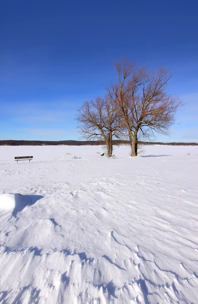 Vinter scen — Stockfoto