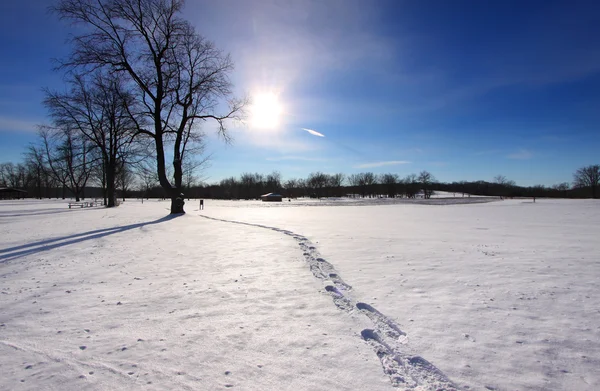 겨울 햇살 — 스톡 사진