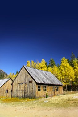 Autumn landscape in Colorado clipart