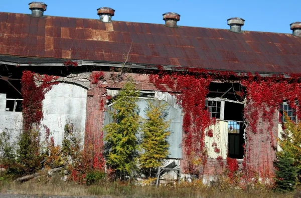 Abandoned Industry — Stock Photo, Image