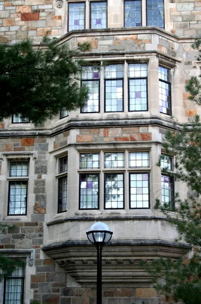 Michiagan의 역사적인 대학 — 스톡 사진