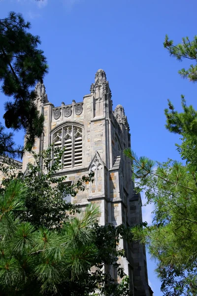 Universidade de Michigan — Fotografia de Stock