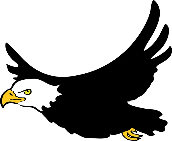 Flying bald eagle — Stock Vector