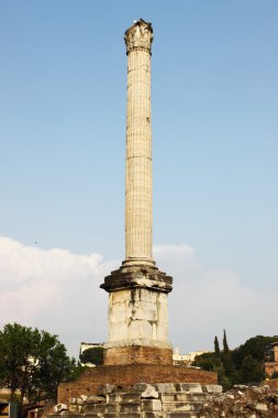 Foça culumn