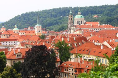 Red roofs of Prague clipart