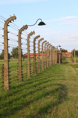Auschwitz Birkenau'dan bir resim
