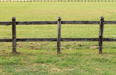 Horses wooden fence clipart