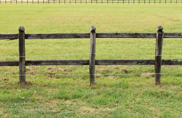 Paarden houten hek — Stockfoto